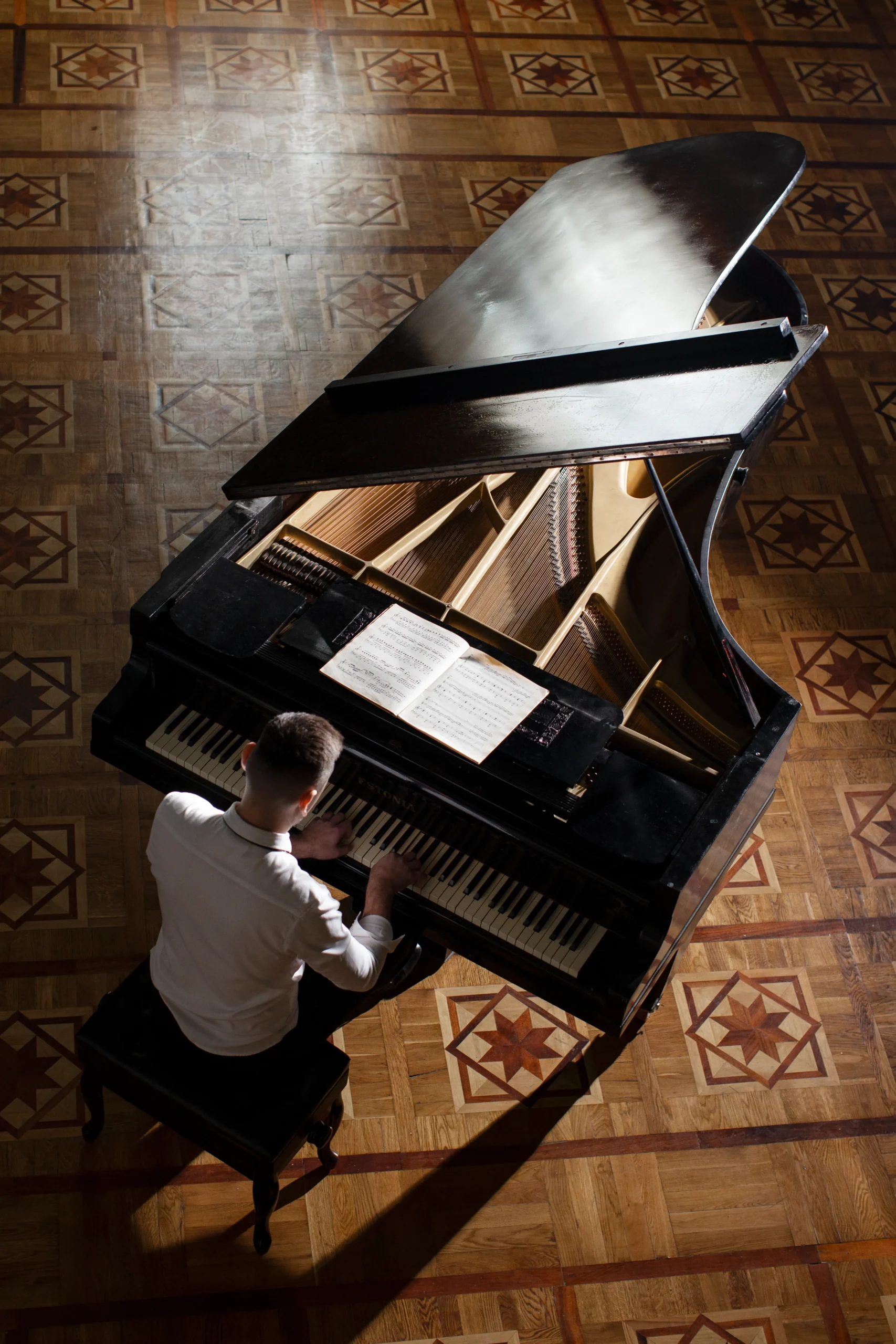 Musician playing with piano sheet music in concert hall